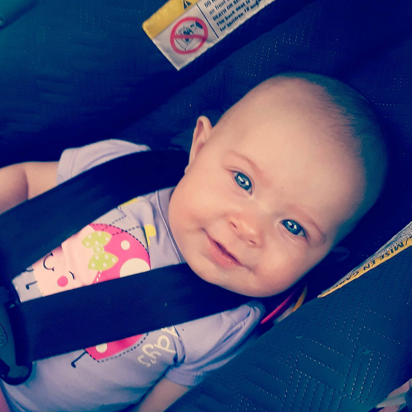 Alayna is registered to the contest to win money with this photo: beauty, blue, boy, cheek, child, day, eye, eyebrow, face, facial_expression, forehead, head, human_hair_color, infant, nose, person, skin, smile, snapshot, toddler