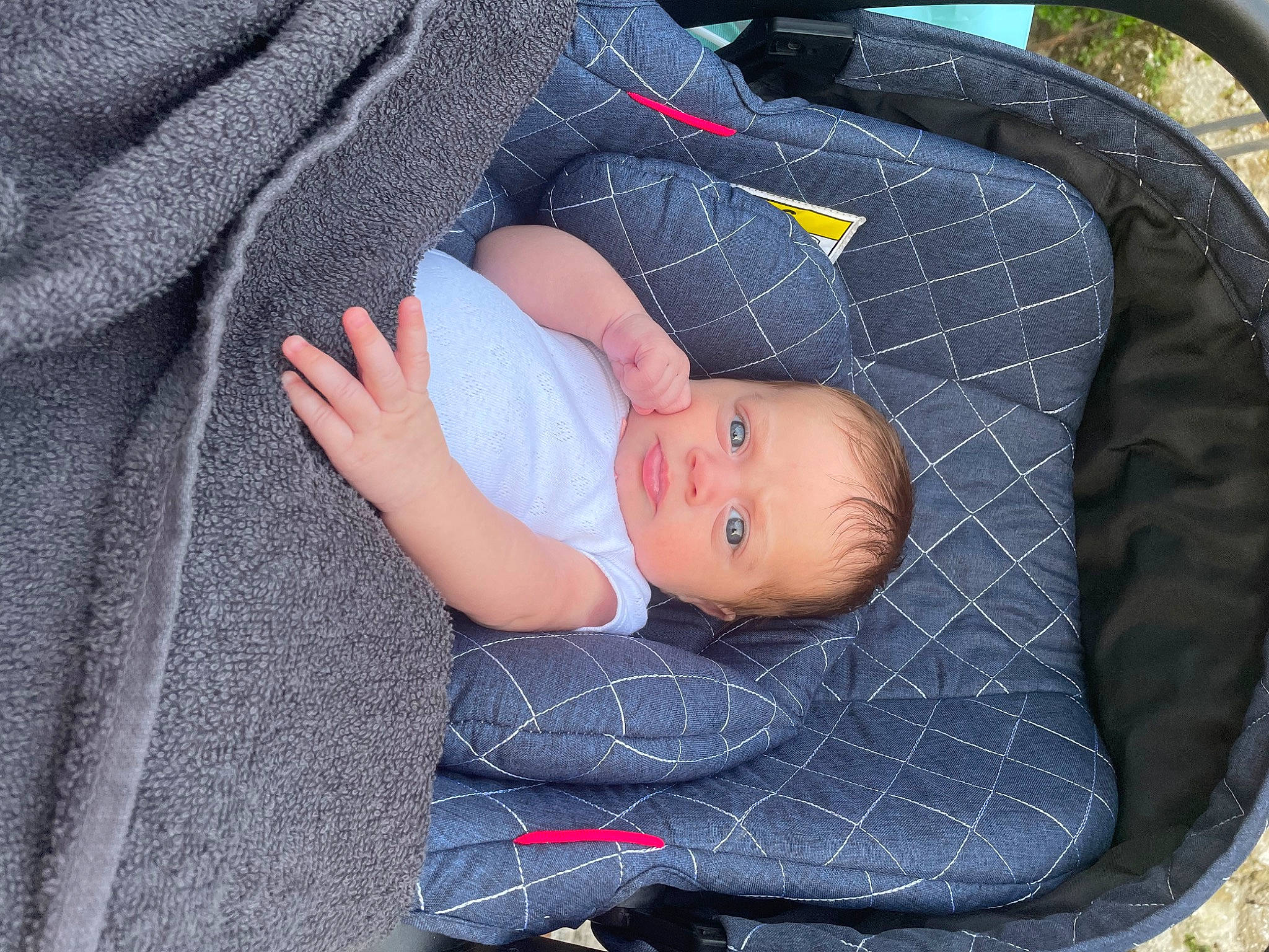 Bella participe au concours pour gagner de l'argent avec cette photo : auto_part, baby, baby_carriage, baby_products, baby_toddler_clothing, car_seat, child, comfort, electric_blue, fashion_accessory, grass, lap, pattern, person, sitting, sleeve, toddler