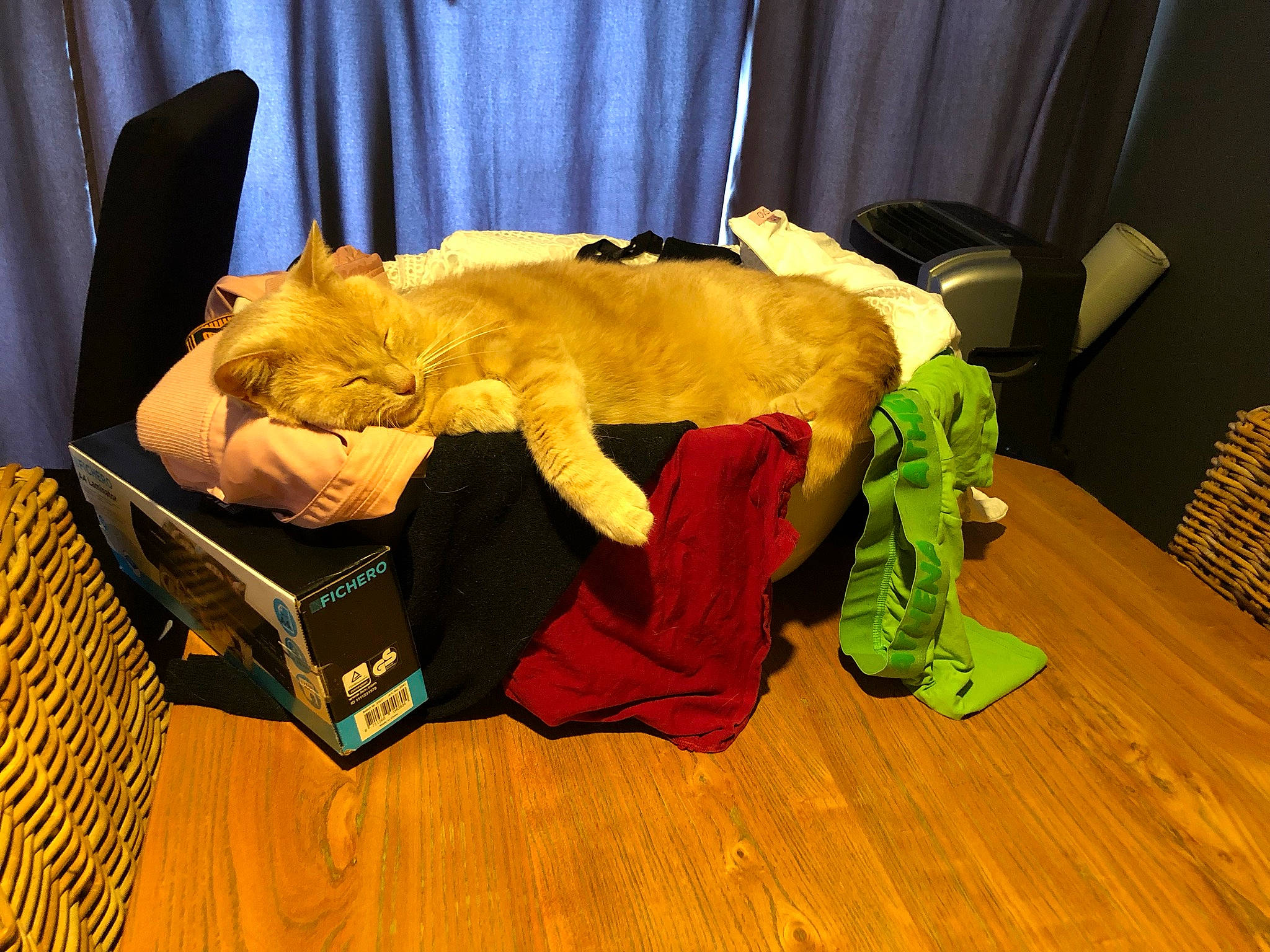 Garfield