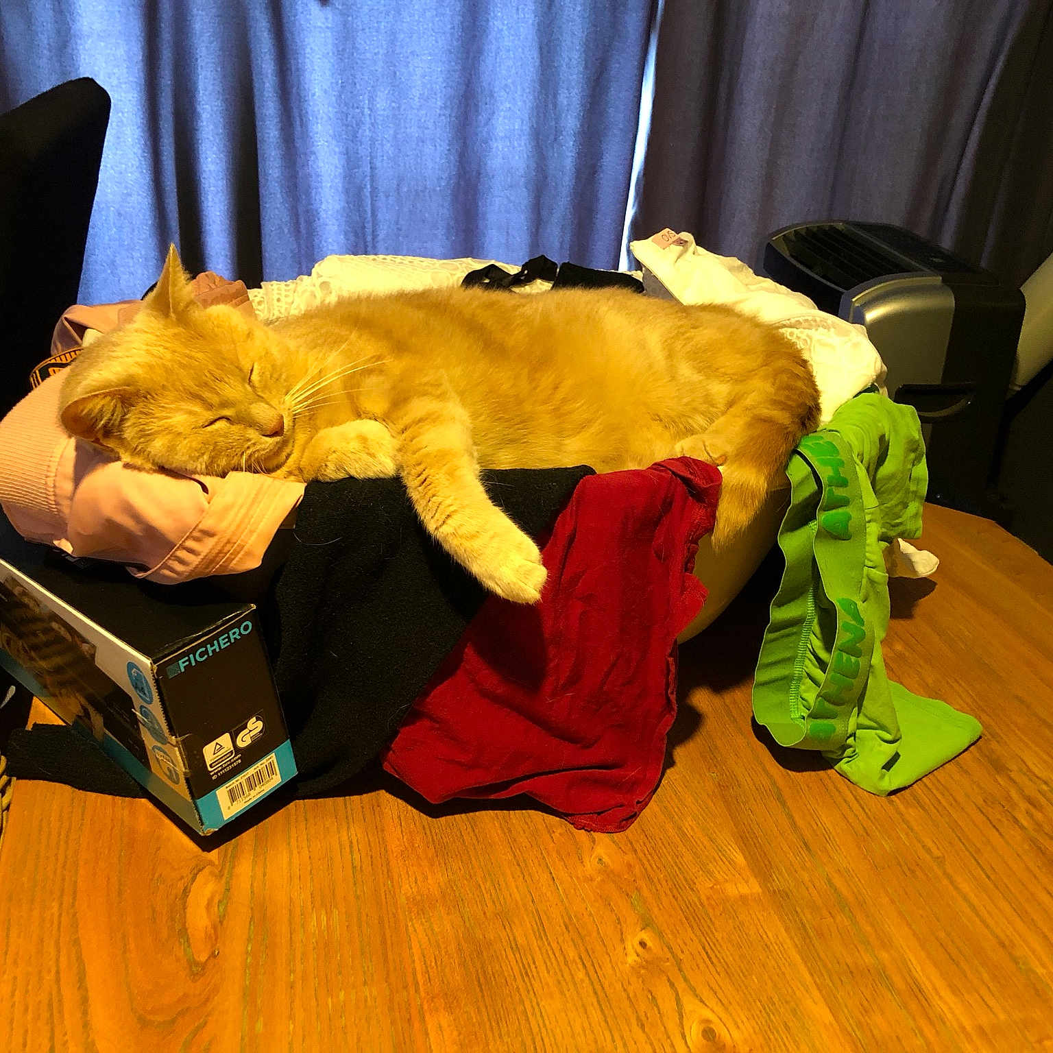 Garfield