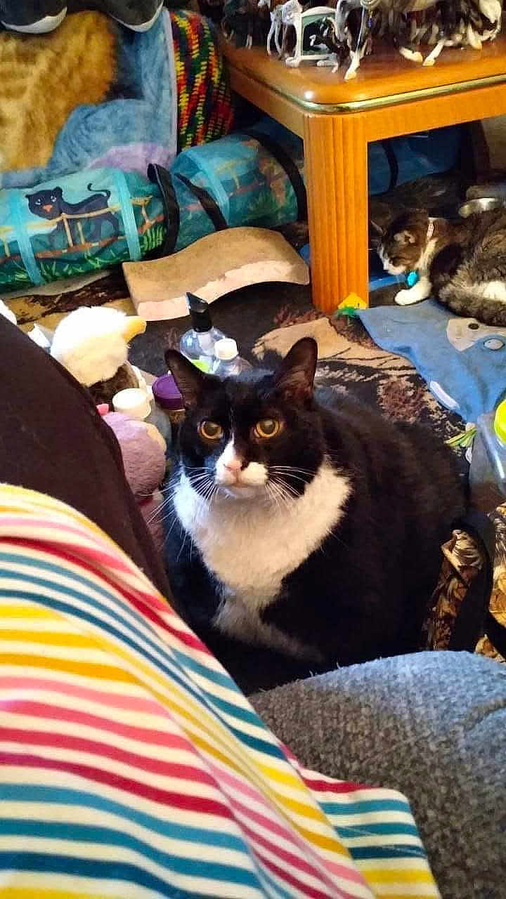 Stormy