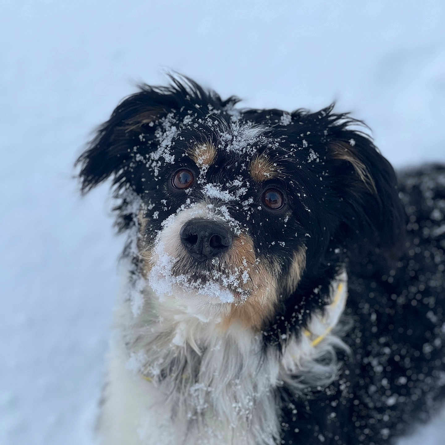 Hudson