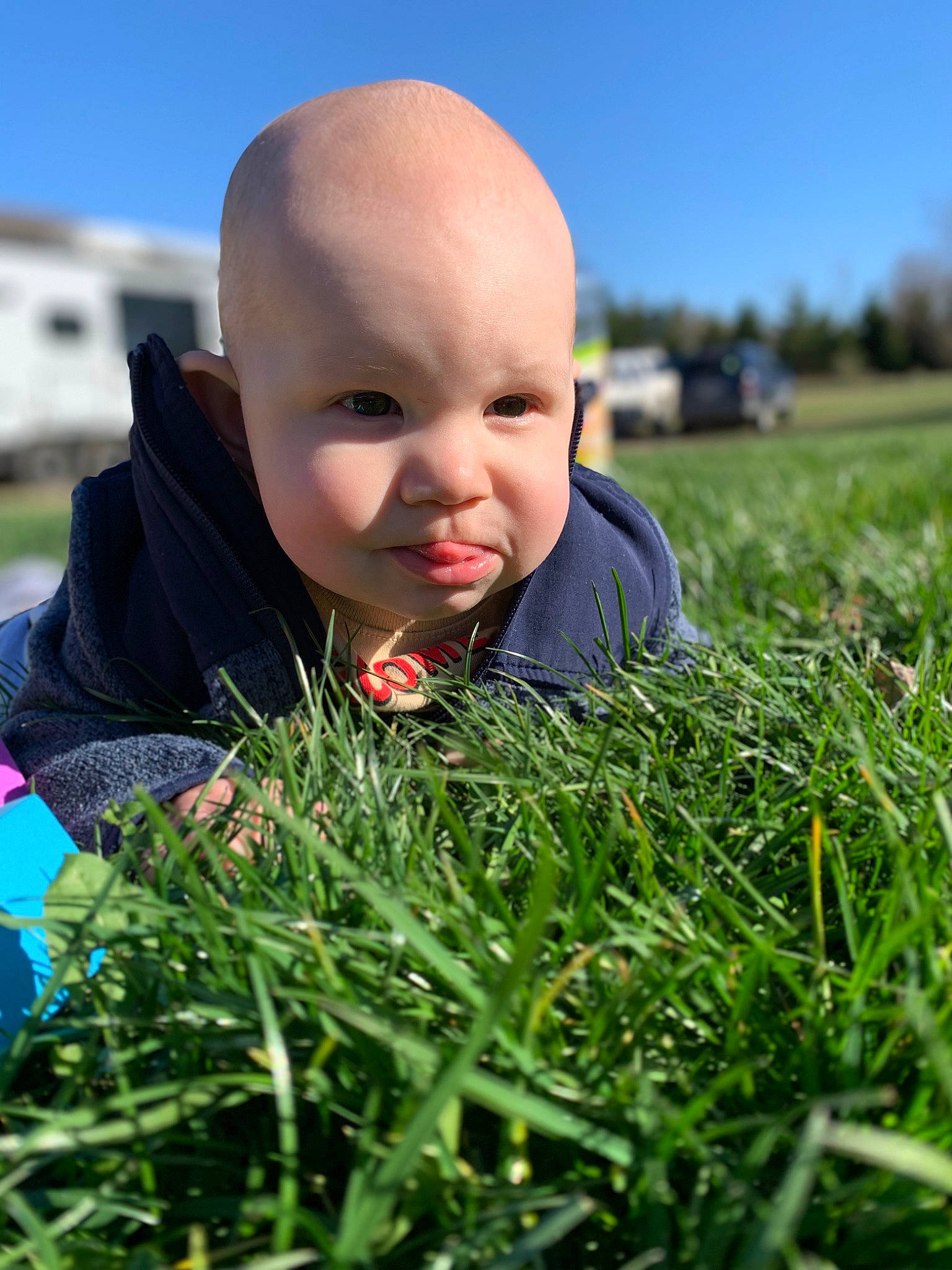 Weston joined the competition — help win amazing prizes! baby, field, fun, grass, grass_family, grassland, happy, landscape, lawn, leisure, meadow, people_in_nature, person, plant, prairie, sitting, skin, sky, sunlight, toddler