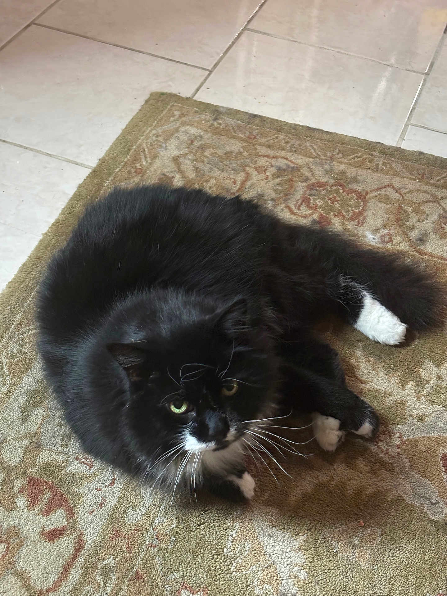 Roscoe