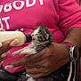 kitten, baby_animal, feeding, bottle, hand, person, pink_sweatshirt, watch, nail_polish, indoor, cute, furry, tiny, animal_care, holding, mammal, close_up, comfort, pet, warmth