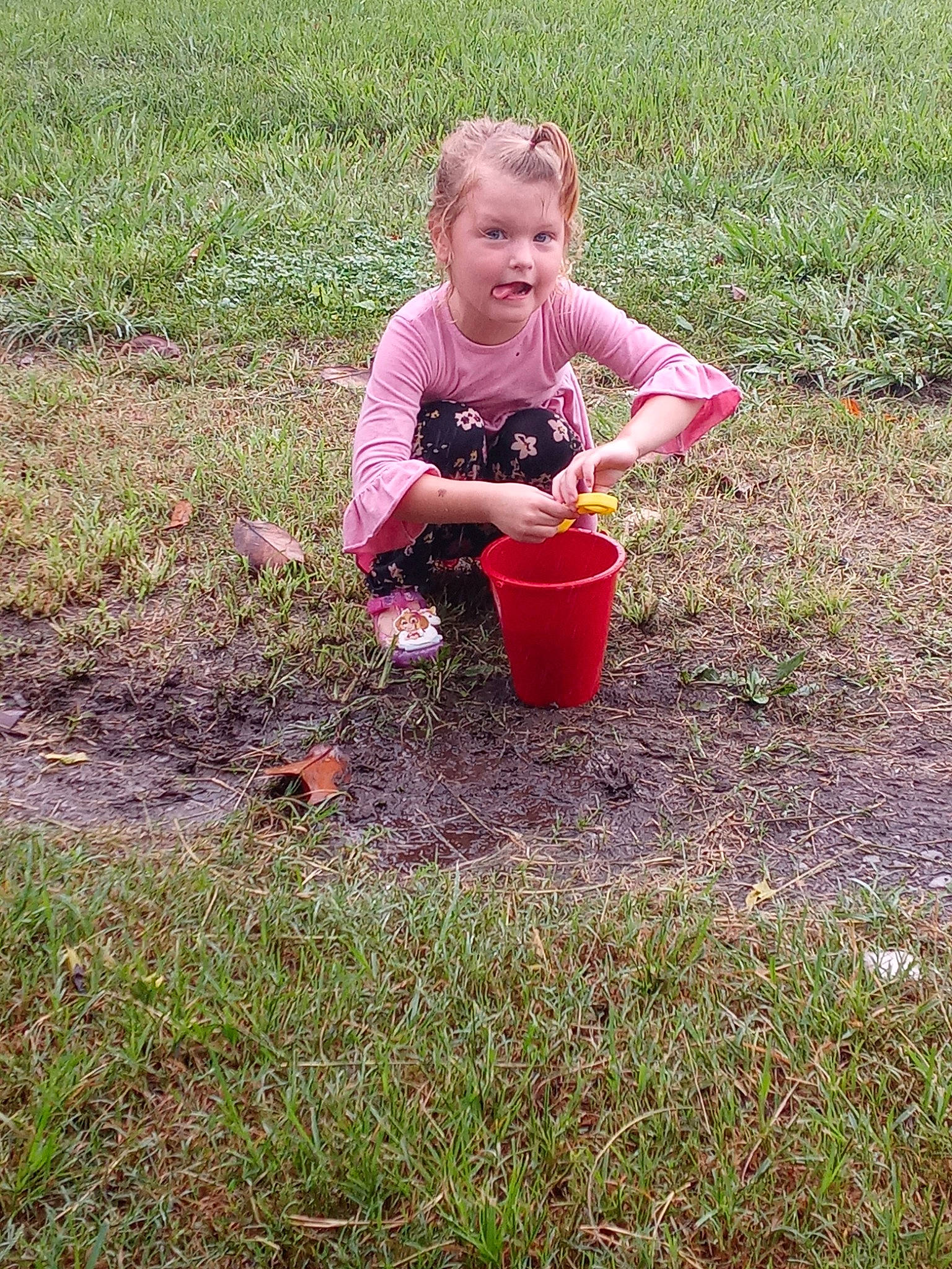 Rylie joined the competition — help win amazing prizes! baby, child, fun, garden, grass, grassland, groundcover, landscape, people_in_nature, person, play, sharing, soil, toddler, yard