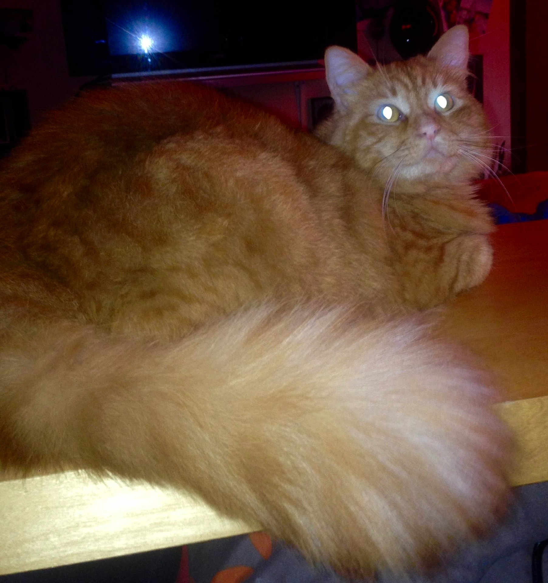 Caramel