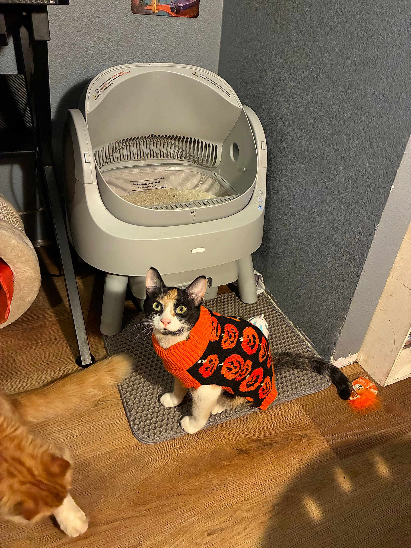 Maru