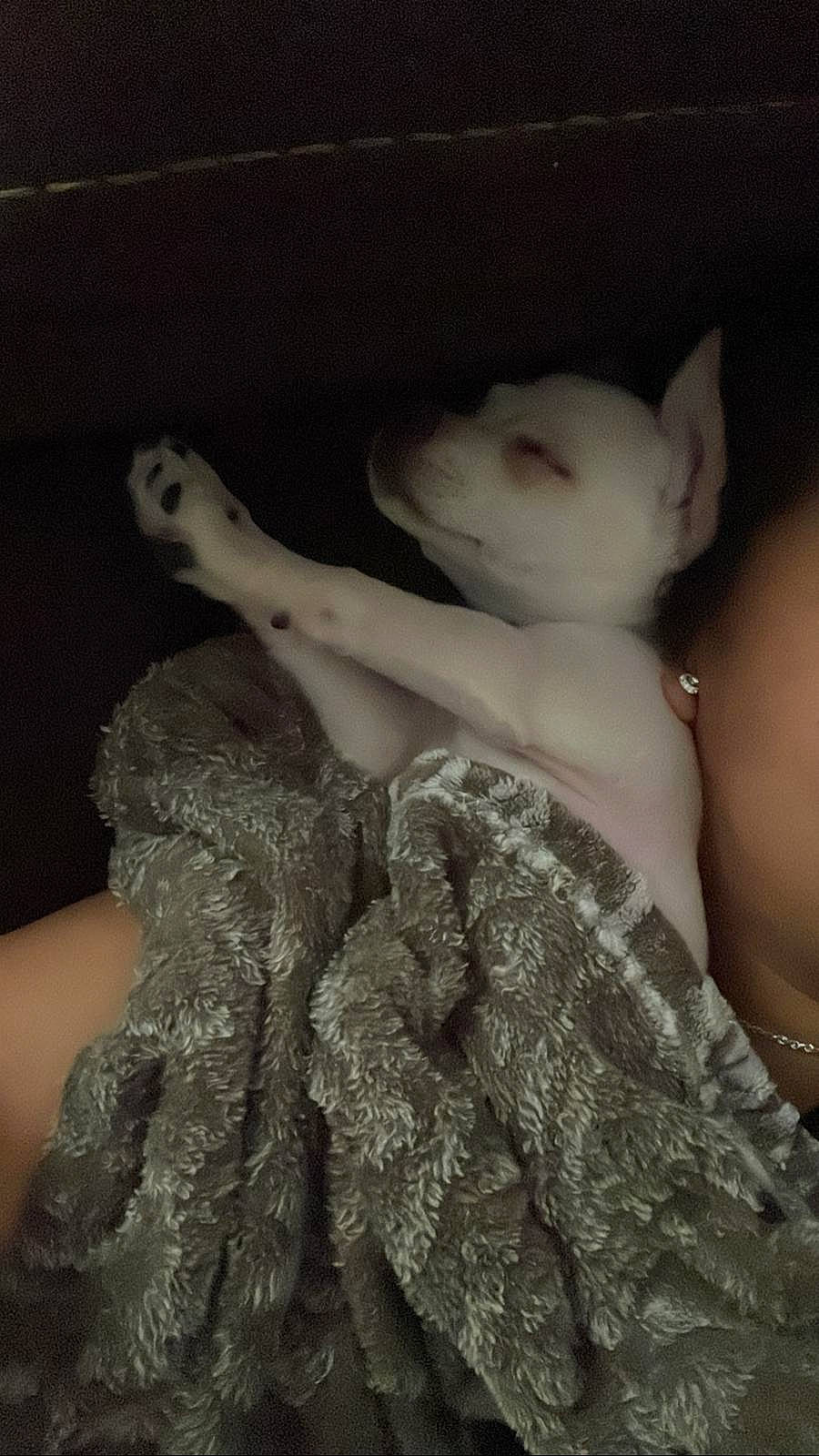 Tilin is registered to the contest to win money with this photo: abdomen, chest, cocktail_dress, darkness, event, fashion_design, flash_photography, formal_wear, fur, gesture, gown, grey, human_leg, long_hair, monochrome_photography, shoulder, textile, thigh, trunk, vintage_clothing