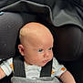 baby, car_seat, blanket, child, infant, blue_eyes, straps, clothing, seatbelt, sitting, indoors, head, face, skin, person, cute, toddler, young_child, car_interior, soft_texture