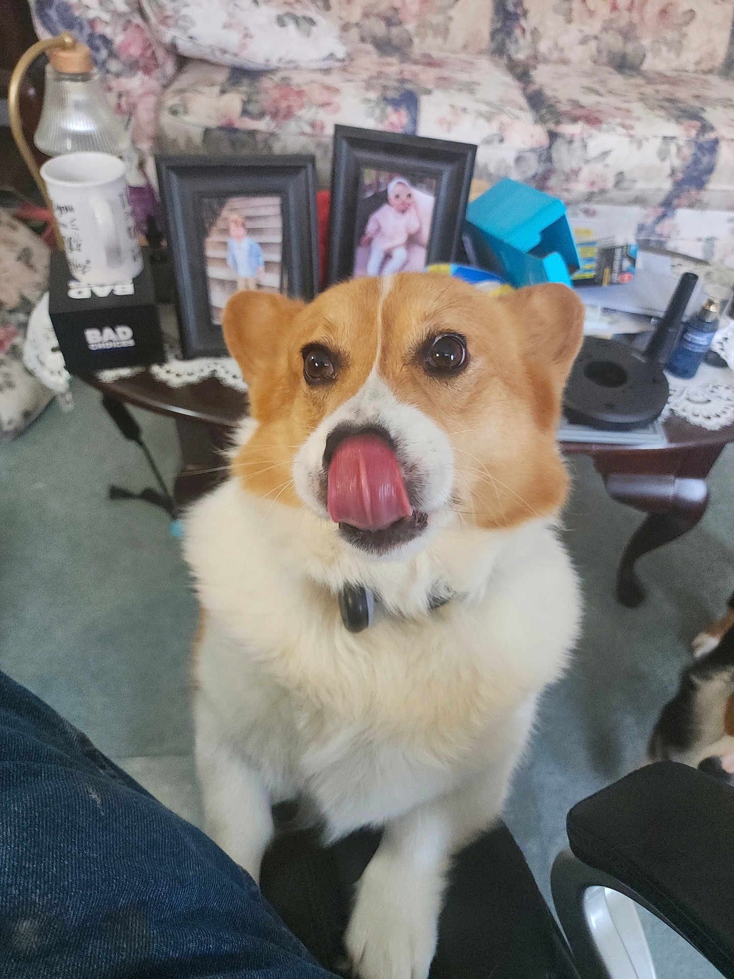 Winston