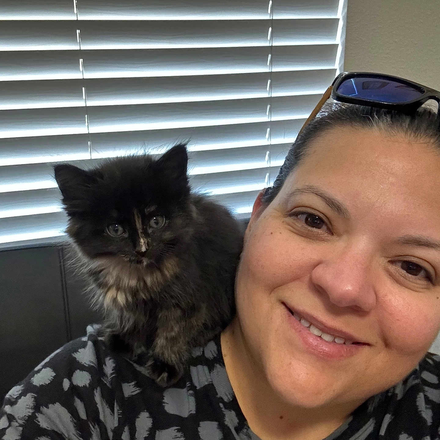 Mocha is registered to the contest to win money with this photo: animal, black_cat, casual_clothing, closeup, companion, cozy, cute, face, friendly, fur, glasses, happy, indoor, kitten, person, pet, portrait, shoulder, smile, window_blinds