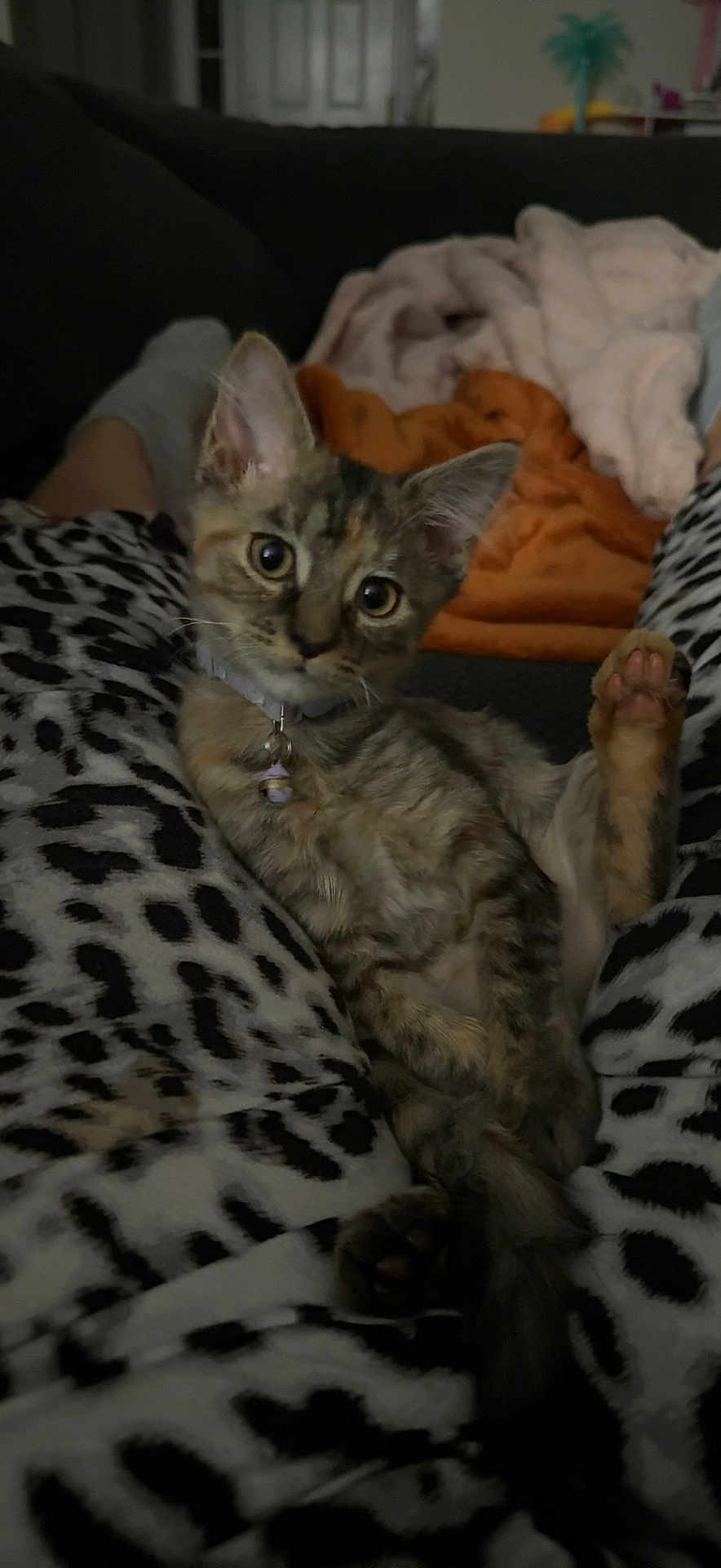 Minnie