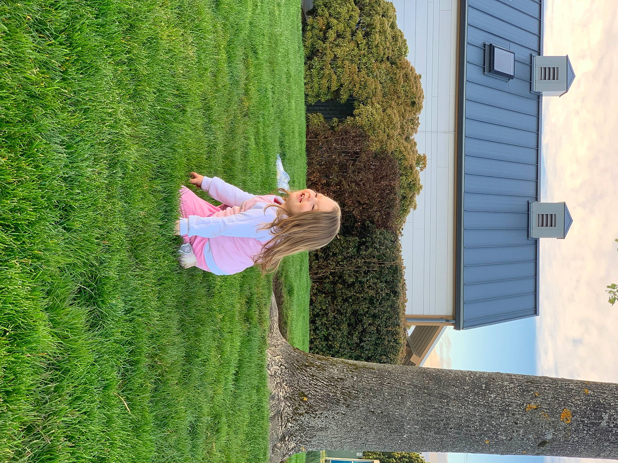 Calliope joined the competition — help win amazing prizes! biome, facade, fun, garden, grass, green, house, joy, landscape, lawn, leaf, leisure, line, people_in_nature, person, plant, shrub, tree, vegetation, wood