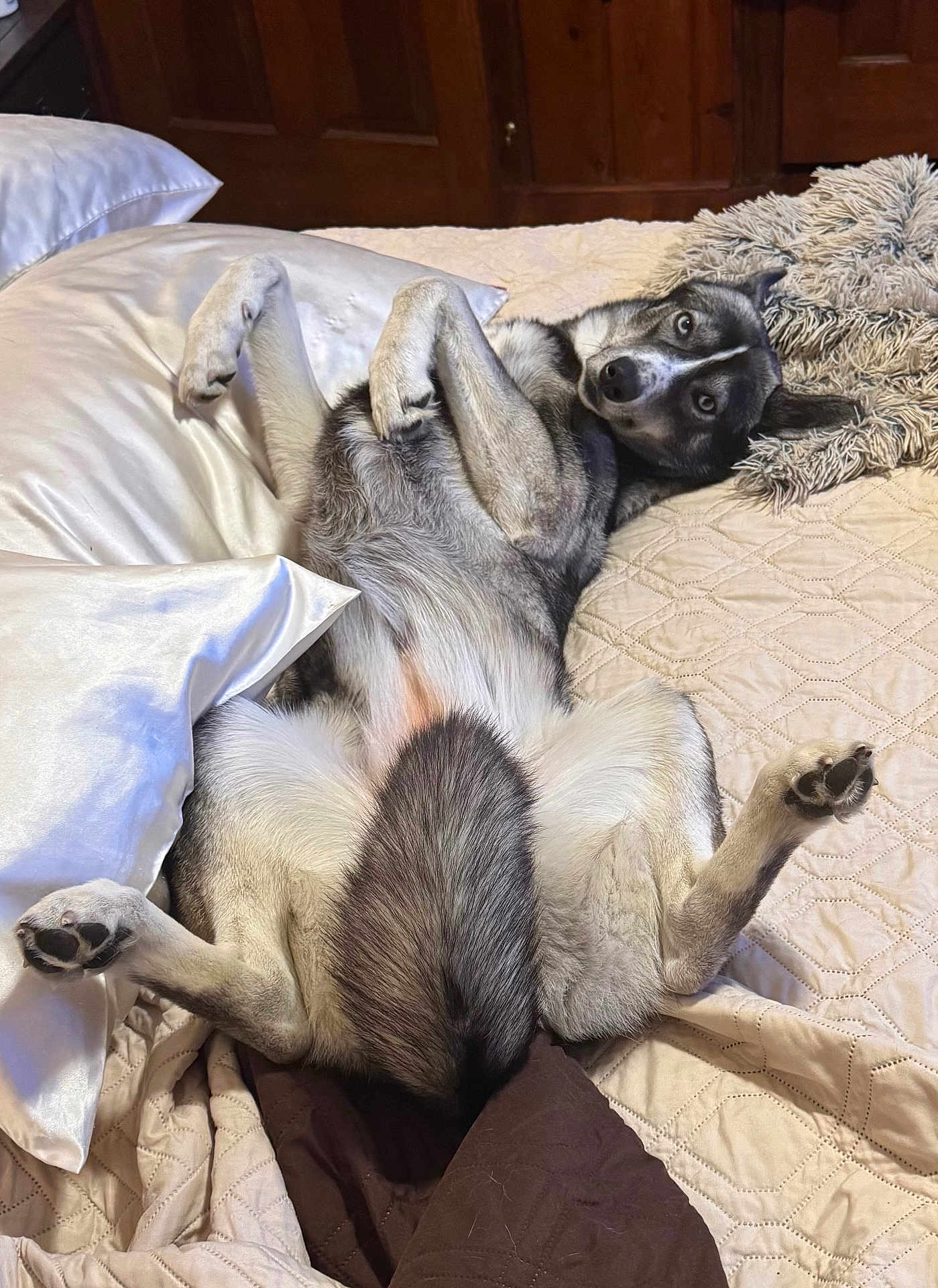 Lulu