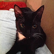 Bernie is registered to the contest to win money with this photo: