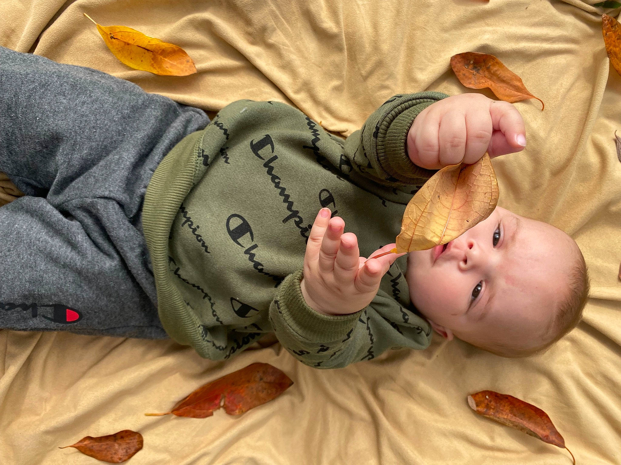 Kyren is registered to the contest to win money with this photo: baby, baby_toddler_clothing, camouflage, child, comfort, finger, gesture, human_body, joint, leg, military_camouflage, mouth, nail, person, plant, room, skin, thumb, toddler, vertebrate