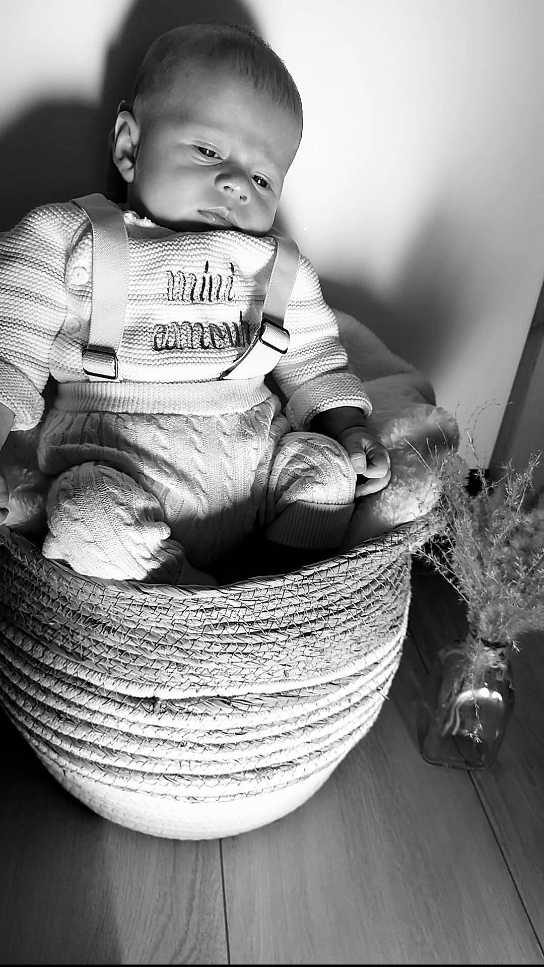 Lucas a rejoint le concours — aidez-le/la à gagner de superbes lots ! baby, basket, bodypart, clothing, face, finger, flower, flowerarrangement, furniture, hand, happy, head, newborn, pants, person, photography, plant, portrait, sitting, smile