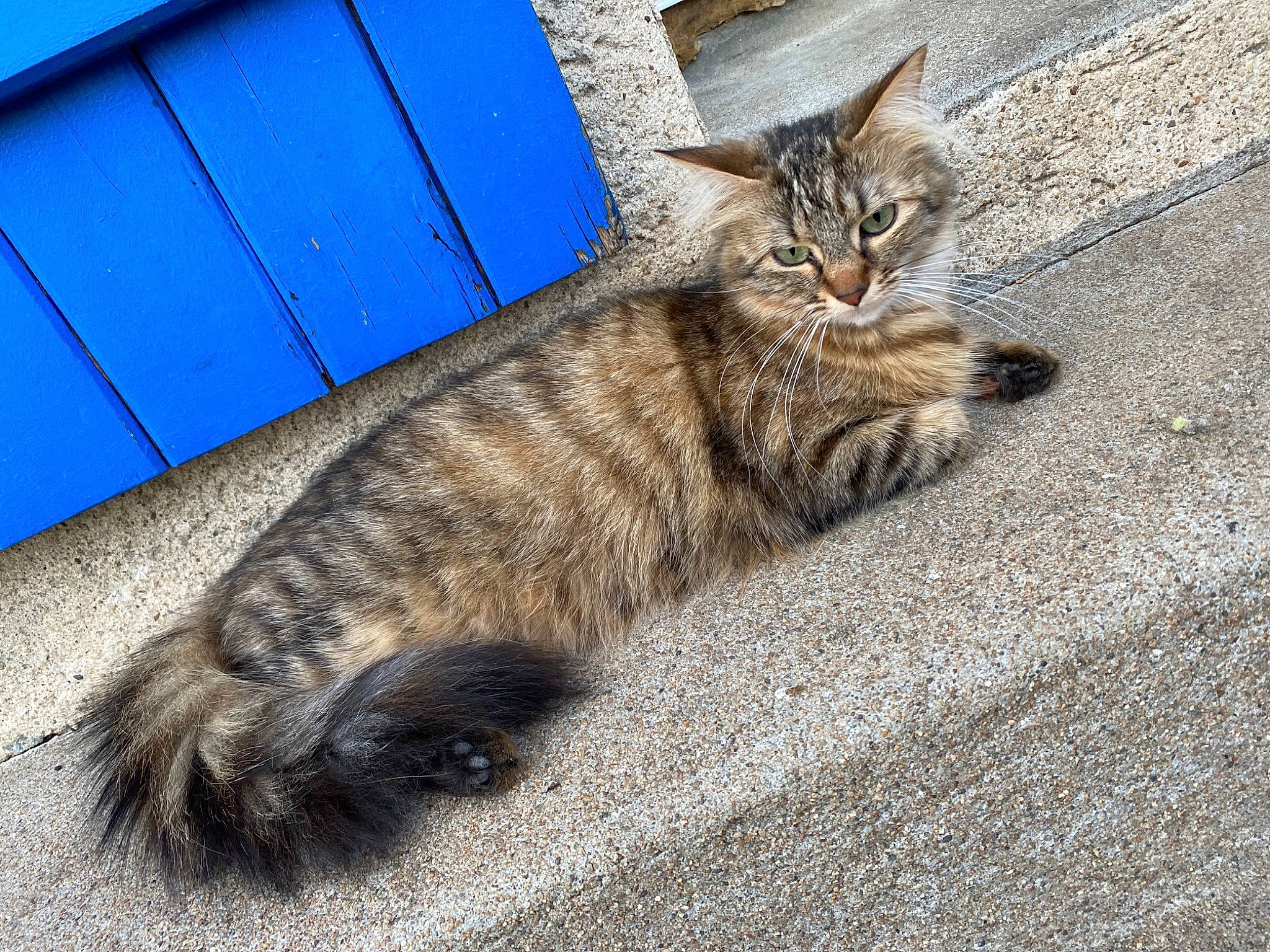 Luna