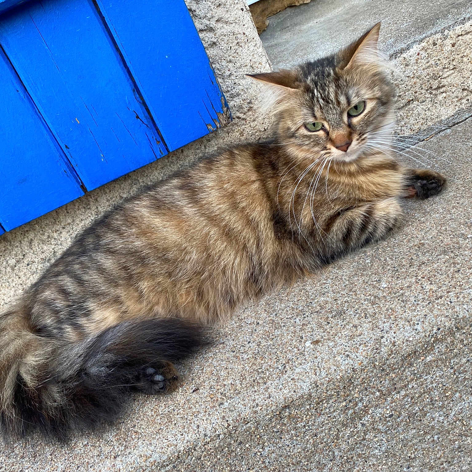Luna