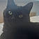 Salem