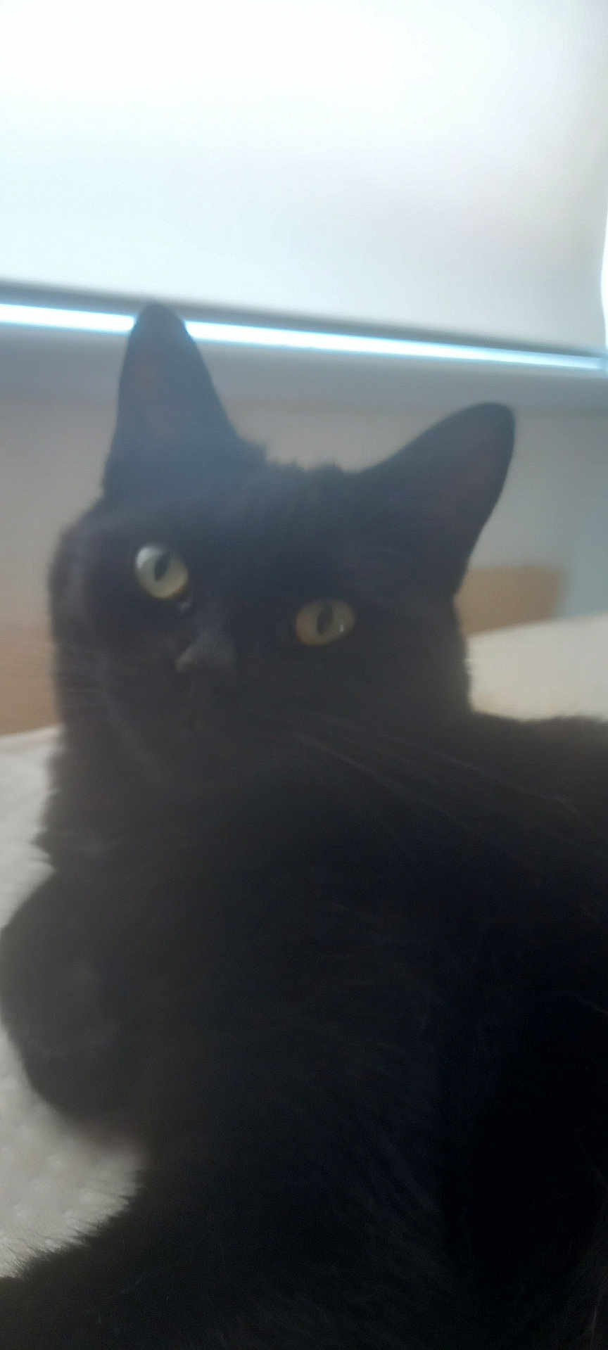 Salem