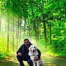 man, dog, forest, trees, sunlight, path, greenery, nature, outdoor, pet, animal, crouching, canine, woods, happy, daylight, scenery, leaves, trunk, friendship