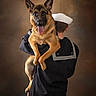 dog, german_shepherd, sailor, uniform, pet, animal, portrait, studio, brown_background, happy, tongue_out, holding, person, back_view, military, friendship, companion, cute, ears_up, fur