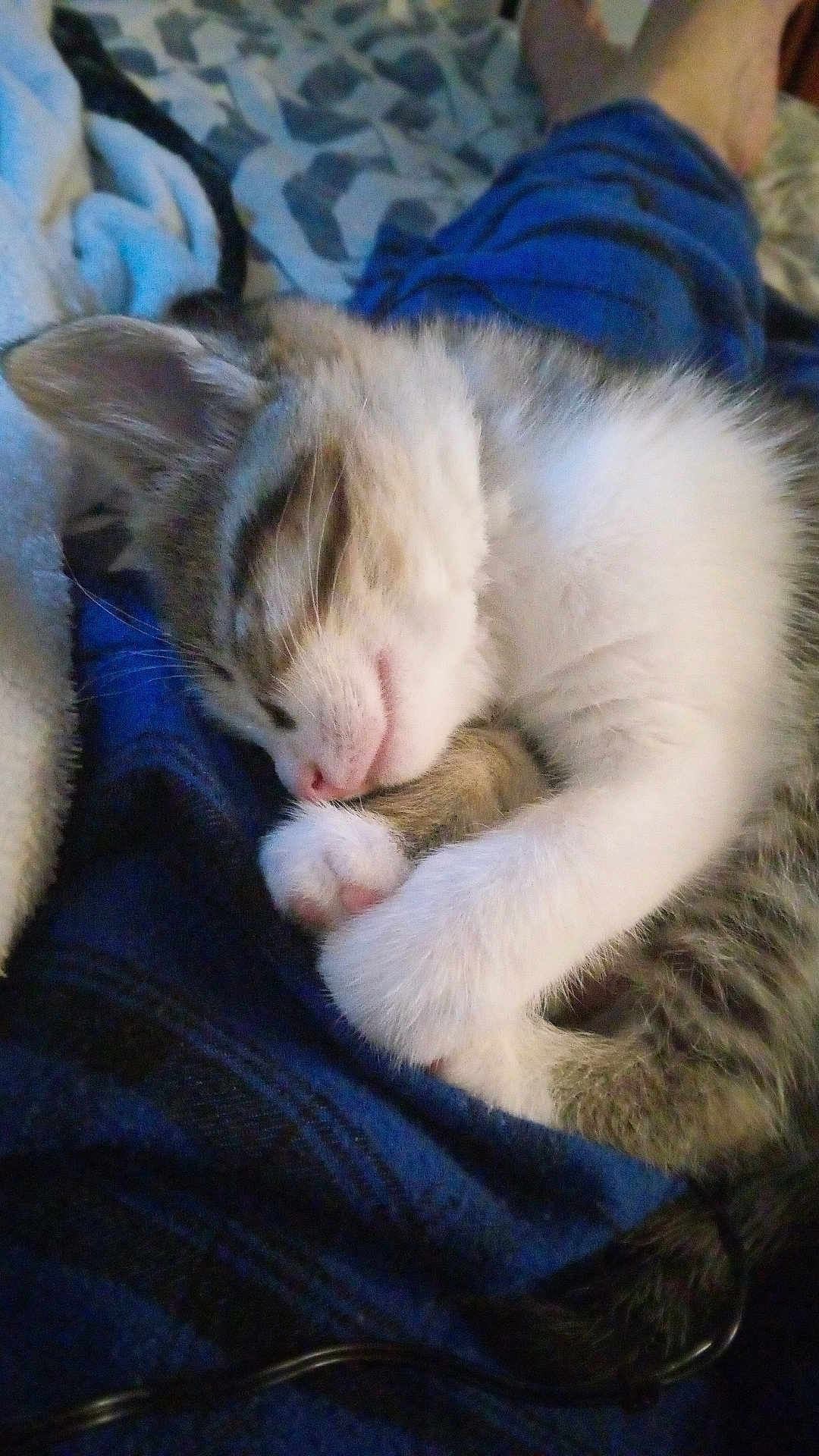 Peanut