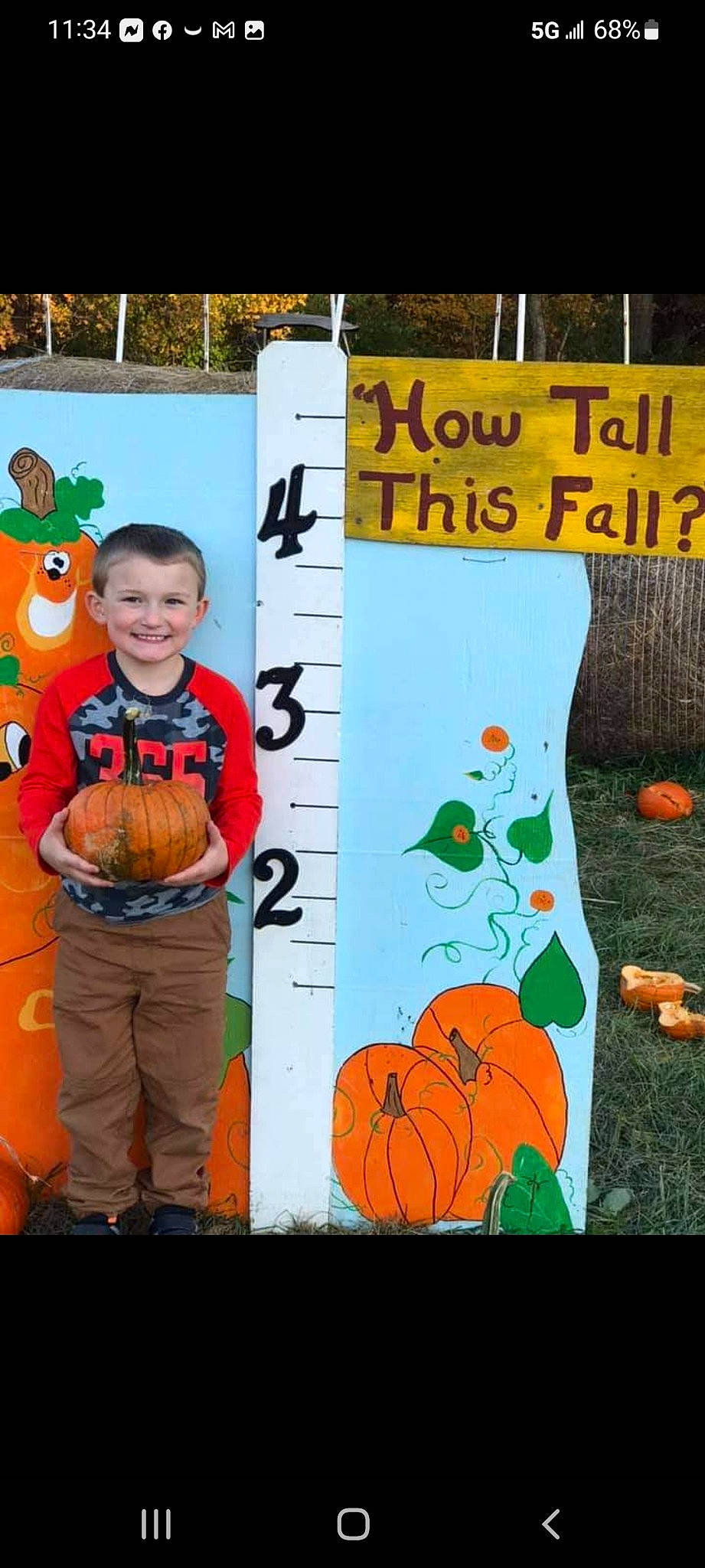Allen is registered to the contest to win money with this photo: adaptation, art, calabaza, child, drawing, font, green, handwriting, happy, illustration, joy, leaf, orange, pattern, person, plant, pumpkin, smile, t_shirt, textile