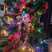 Gizmo joined the competition — help win amazing prizes! cat, christmas_tree, ornament, lights, indoor, holiday, decorations, festive, pet, curious, greenery, colorful, playful, feline, home, collar, paw, tree_branch, sparkle, celebration