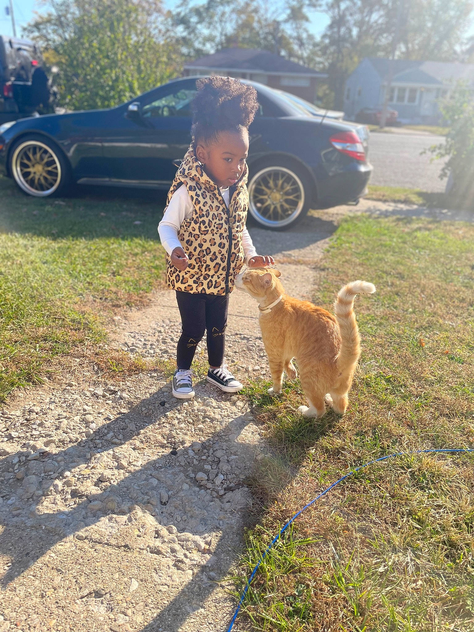 Zia is registered to the contest to win money with this photo: asphalt, automotive_tire, car, carnivore, companion_dog, fawn, fender, grass, landscape, mid_size_car, people_in_nature, person, plant, sky, tail, tire, toddler, tree, vehicle, vehicle_door