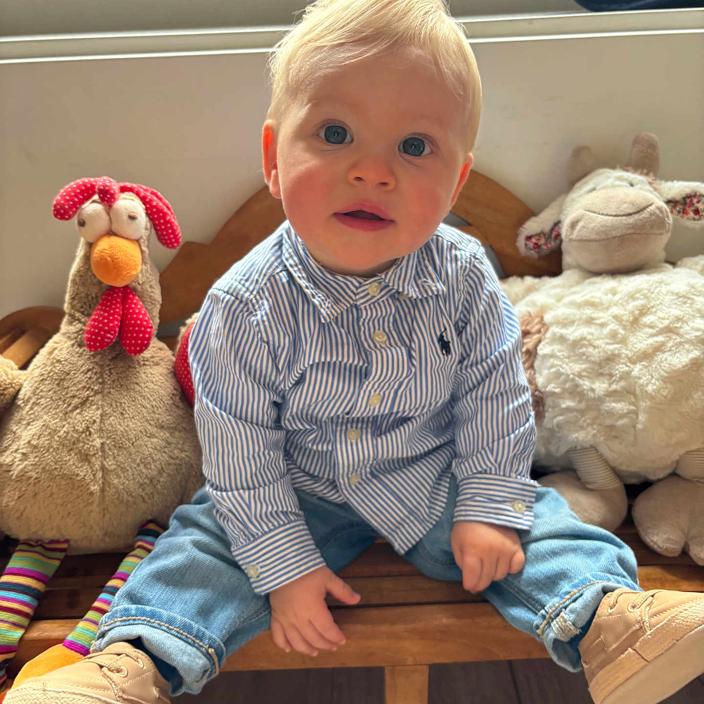 Mauro participe au concours pour gagner de l'argent avec cette photo : baby_shoes, bench, blue_jeans, casual_clothing, child, curious, cute, expression, face, indoor, light, plush_chicken, plush_sheep, portrait, seated, striped_shirt, stuffed_animal, toddler, toys, wooden_bench