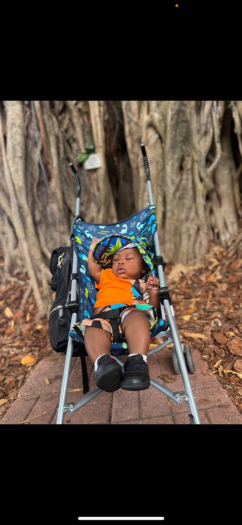 Randell joined the competition — help win amazing prizes! adventure, child, electric_blue, flash_photography, forest, fun, grass, happy, headwear, jungle, leisure, outdoor_recreation, people_in_nature, person, recreation, rope, sitting, stock_photography, toddler, tree