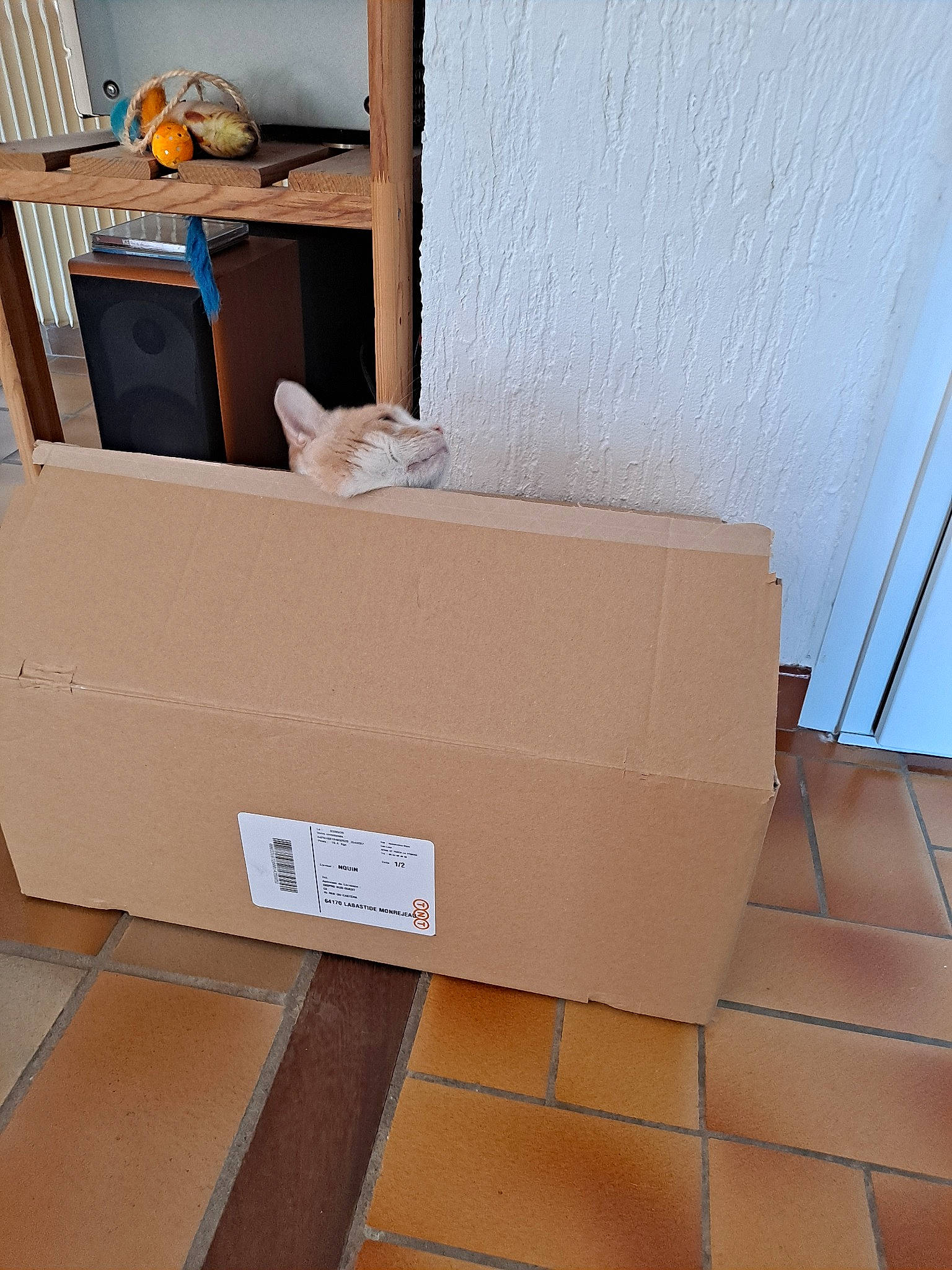 Coca a rejoint le concours — aidez-le/la à gagner de superbes lots ! architecture, box, cardboard, carton, floor, flooring, furniture, package_delivery, packaging_and_labeling, paper_product, plywood, room, shipping_box, tile, wood