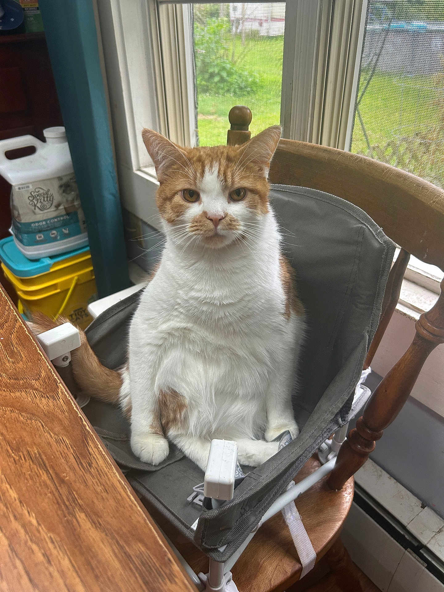 Milo