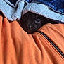 dog, puppy, black_puppy, blanket, fleece, orange_blanket, blue_blanket, zipper, snout, eyes, pet, indoor, cozy, resting, snuggling, hiding, cute, portrait, bedding, warm