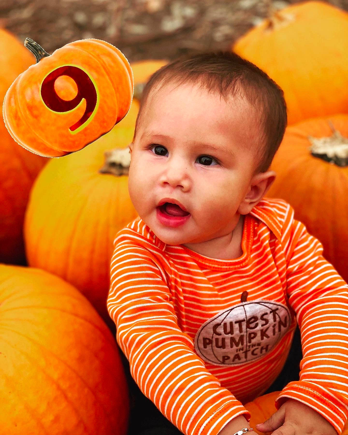 Leland joined the competition — help win amazing prizes! baby_toddler_clothing, calabaza, cheek, cucurbita, eye, facial_expression, gourd, happy, head, human_body, iris, mouth, nose, orange, organ, person, plant, pumpkin, squash, toddler