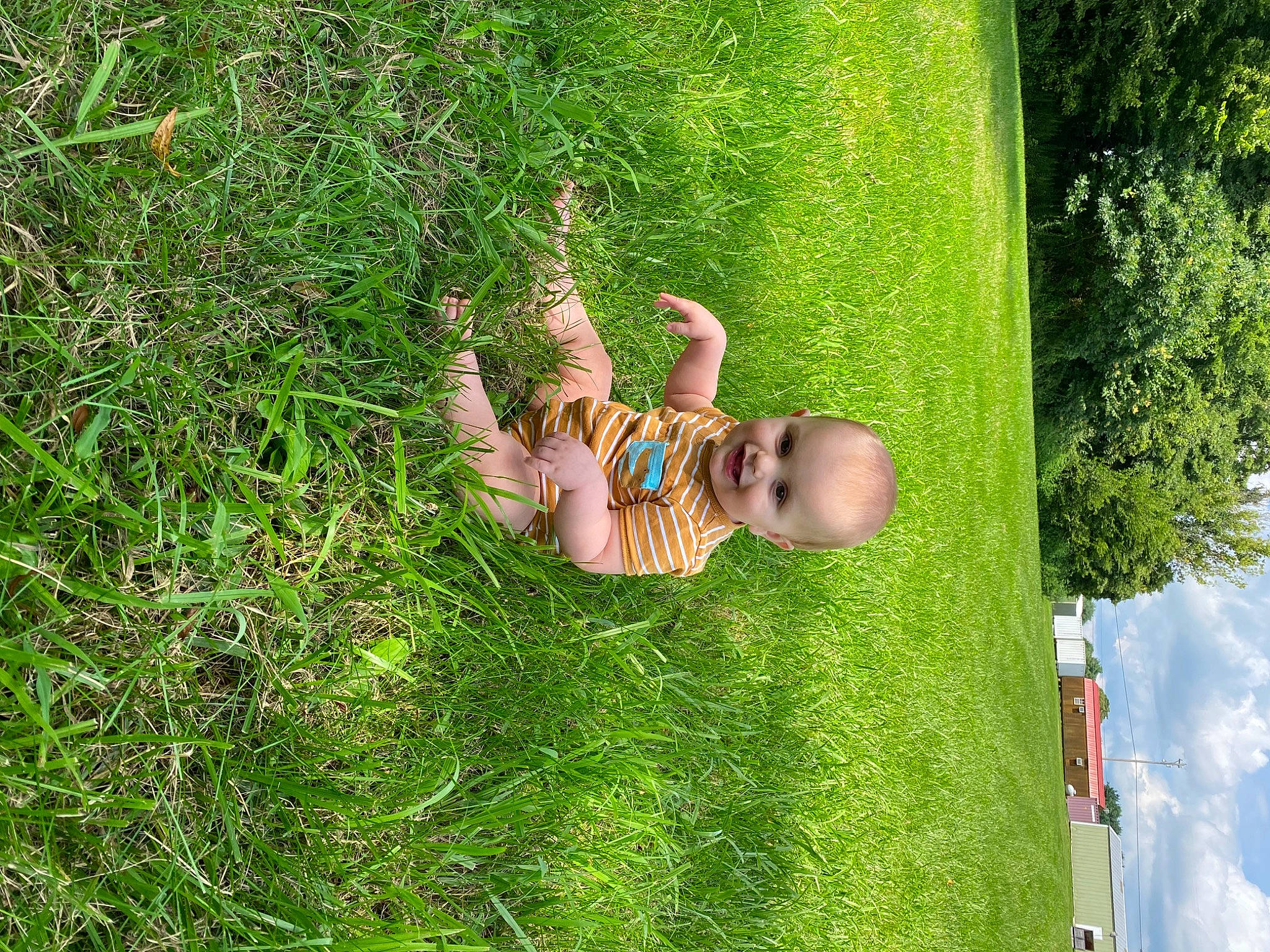 Alec joined the competition — help win amazing prizes! biome, cloud, glasses, grass, grassland, green, groundcover, happy, joy, leisure, natural_environment, nature, people_in_nature, person, plant, shrub, sky, smile, terrestrial_plant, toddler