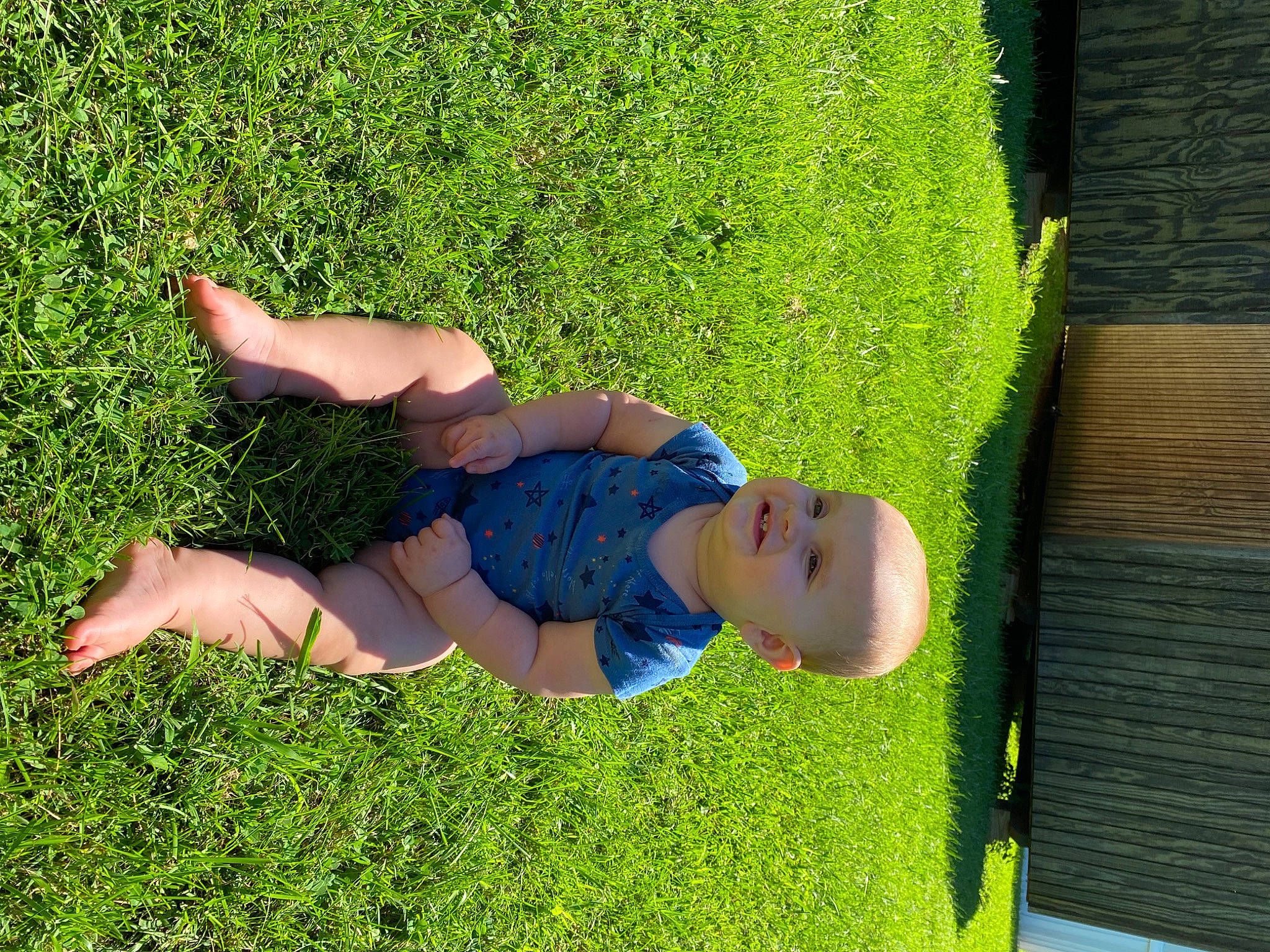 Alec joined the competition — help win amazing prizes! electric_blue, fun, garden, grass, grass_family, grassland, groundcover, human_leg, knee, landscape, lawn, leaf, leisure, people_in_nature, person, plant, shorts, shrub, t_shirt, thigh