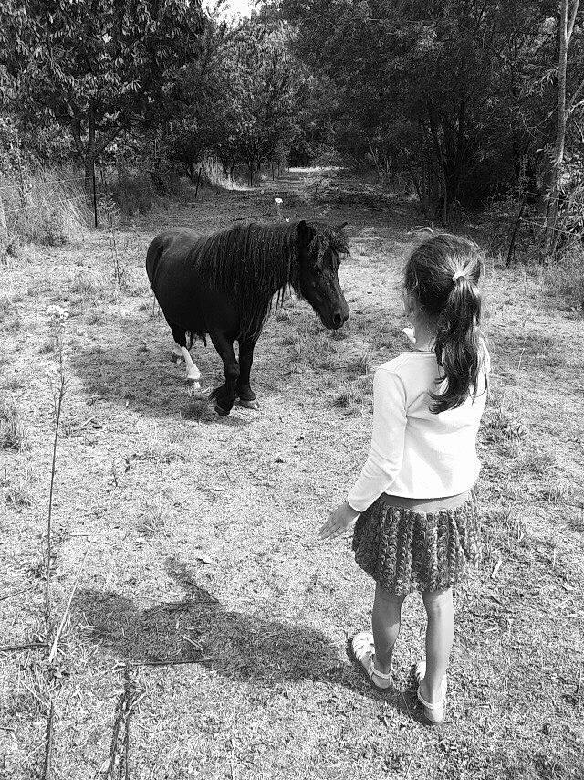 Ursule a rejoint le concours — aidez-le/la à gagner de superbes lots ! black_and_white, child, photograph, photography, tree