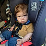 toddler, child, car_seat, safety_harness, denim_shorts, mustard_shirt, car_interior, seatbelt, serious_face, baby, infant, safety, side_impact_tested, vehicle, seat, child_safety, cute, portrait, young_child, casual_clothing
