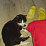 cat, black_and_white, floor, wooden_floor, yellow_shoes, slippers, red_blanket, pet, animal, indoor, resting, looking, curious, fur, whiskers, paw, tail, domestic_cat, close_up, sleepy