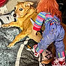 Clifford joined the competition — help win amazing prizes! animal, blanket, brown_dog, carpet, creepy_doll, dog, doll, floor, indoor, knife, lying_down, patterned_blanket, pet, playful_scene, red_hair, red_sneakers, striped_clothing, toy, toy_doll, warning_expression