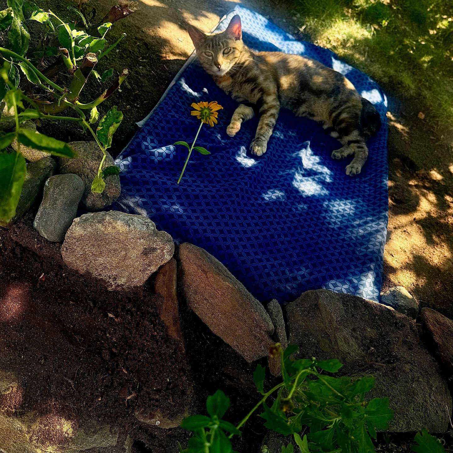 Milagro