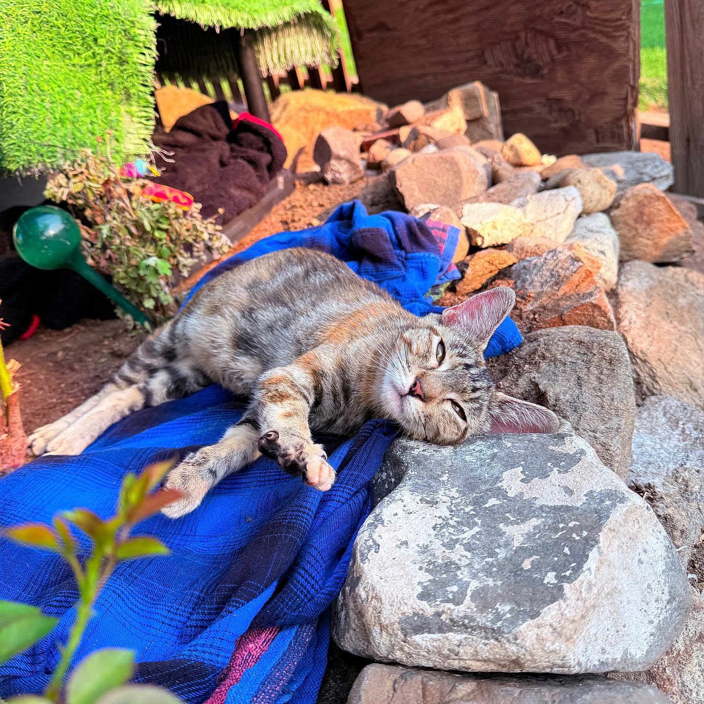 Milagro