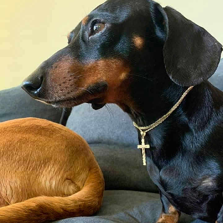 Buster