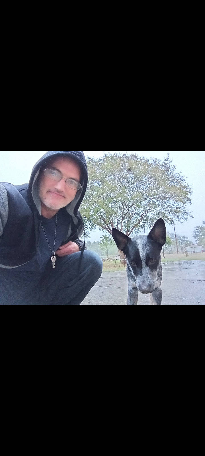 Pick joined the competition — help win amazing prizes! canidae, carnivore, companion_dog, dog, dog_breed, eyewear, fawn, forest, fun, fur, glasses, guard_dog, happy, hoodie, recreation, snout, sporting_group, tree