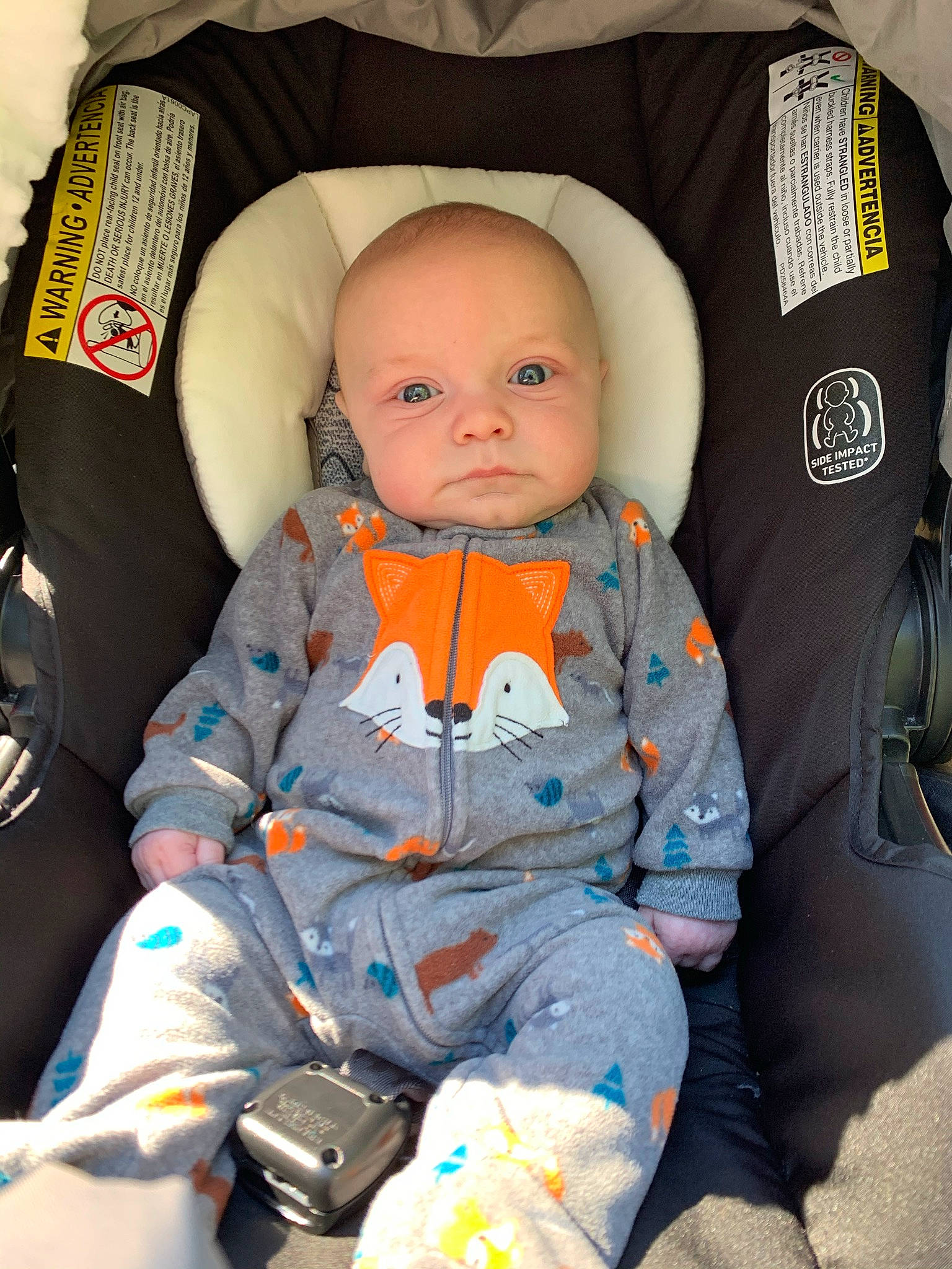 Alistair is registered to the contest to win money with this photo: baby, baby_carriage, baby_in_car_seat, baby_products, car_seat, car_seat_cover, child, person, product, toddler