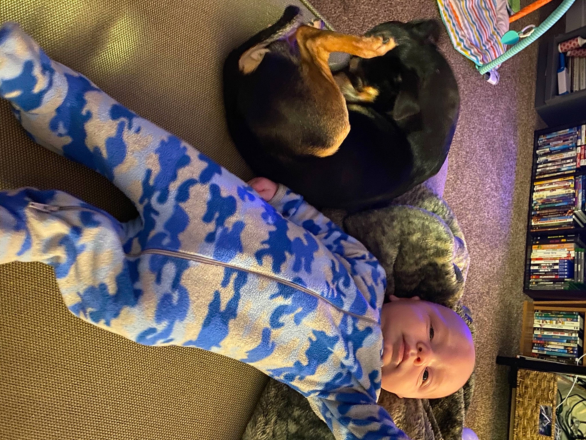 Alistair is registered to the contest to win money with this photo: child, leg, nap, person, plant, sleep, smile, toddler, world